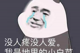 海南州专业讨债公司，追讨消失的老赖